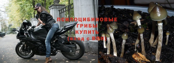 амф Россошь