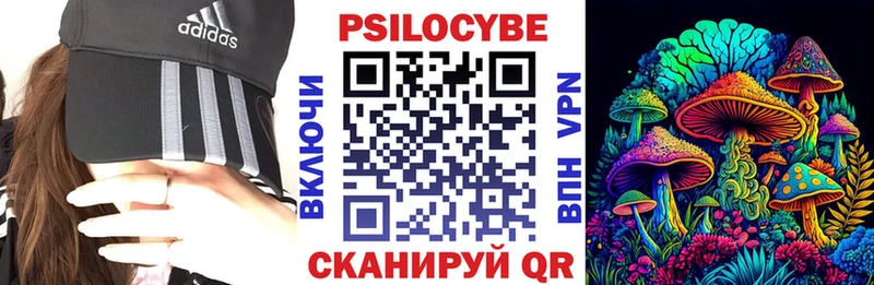 Галлюциногенные грибы Psilocybine cubensis  Купить где  Качканар 
